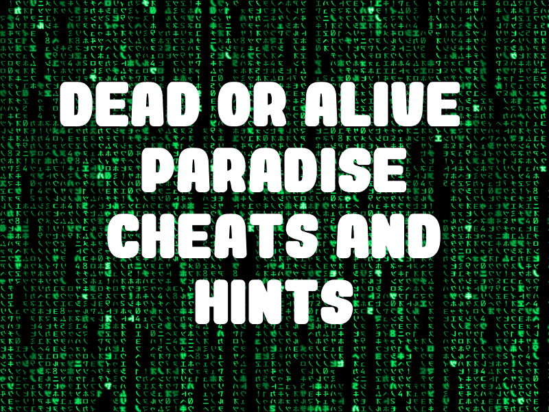 Dead Or Alive Paradise Cwcheats Ulus 10521 21